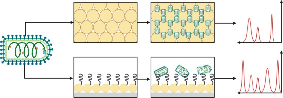 SERS Sensing